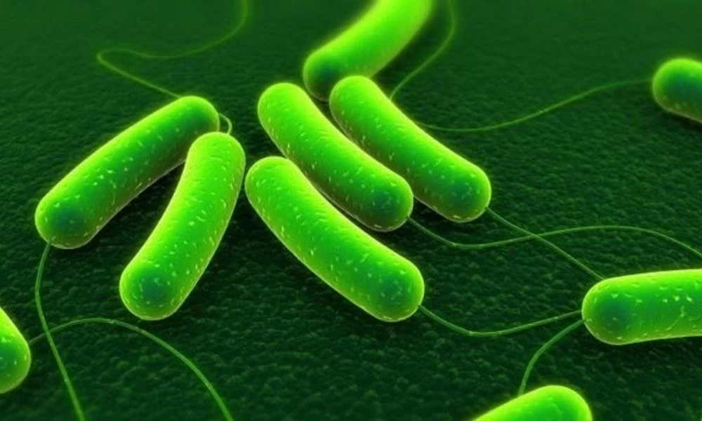 Ιοί και μικρόβια: Όσα πρέπει να ξέρετε για το πως να προστατευθείτε